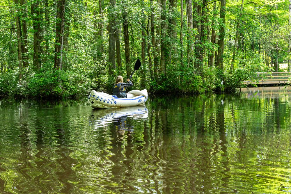 A woman kayaking in Robertson Millpond Preserve