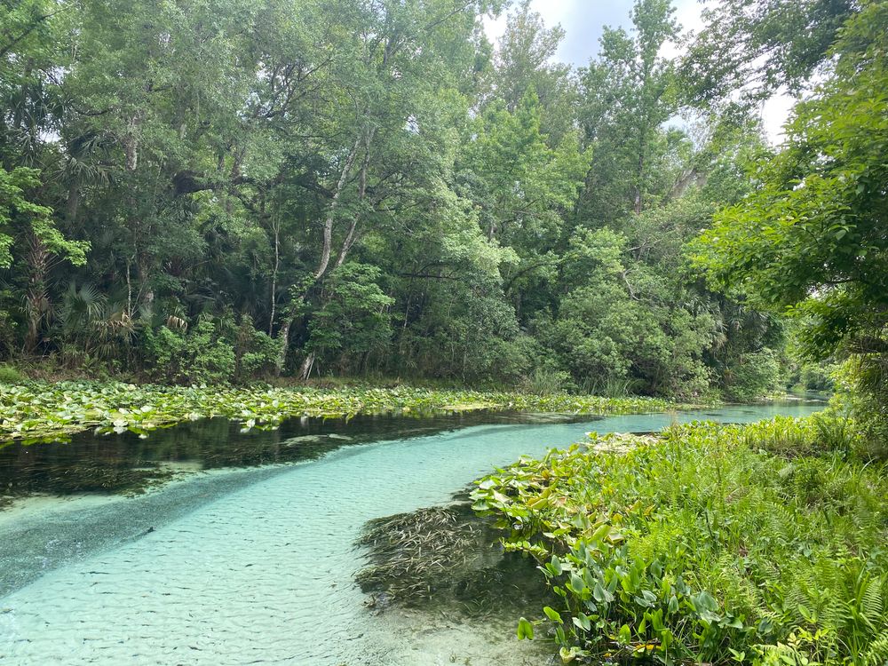 Rock Springs Run State Reserve