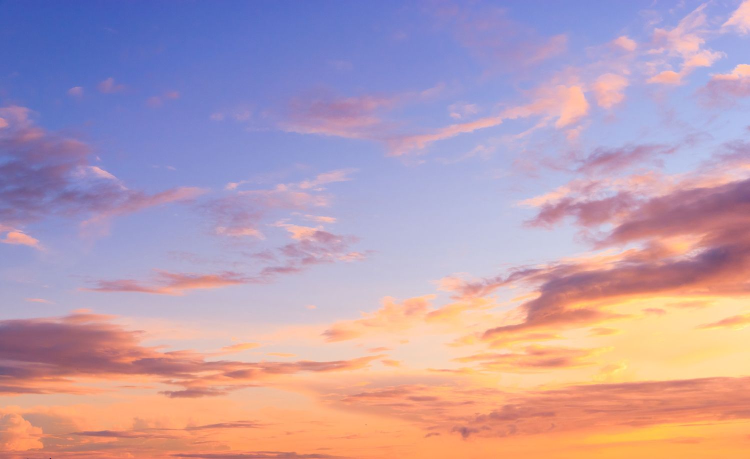 20 Best Things to Do in Rocky Mount, VA Travel Lens