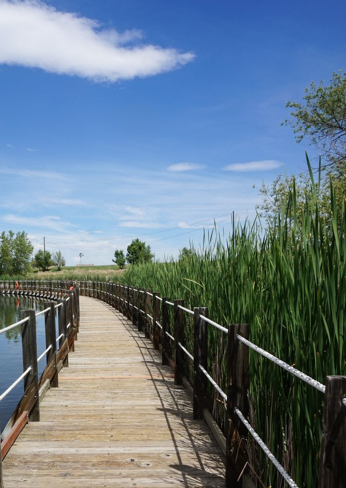 Boardwalk at the Rocky Mountain Arsenal National Wildlife Refuge