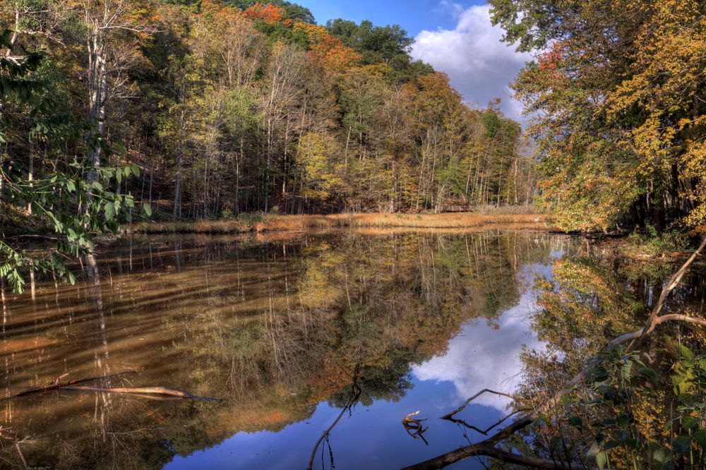 River flowing through the Rocky River Reservation
