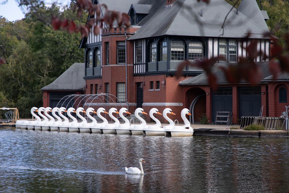 Swan shaped boats at Roger Williams Park