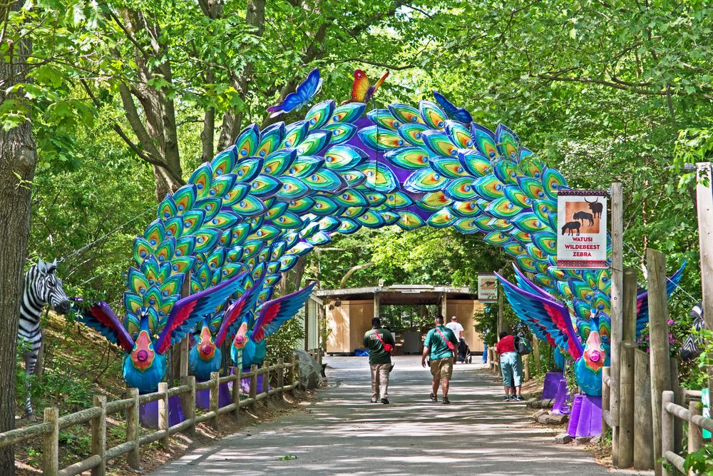 People walking around the Roger Williams Park Zoo