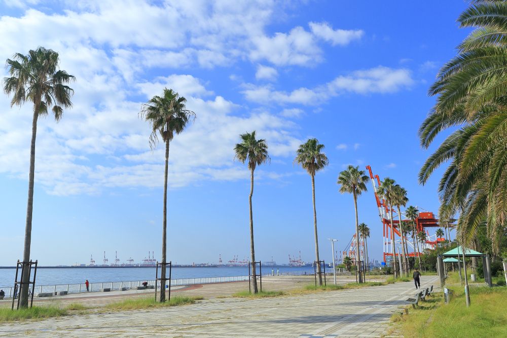Rokko Island