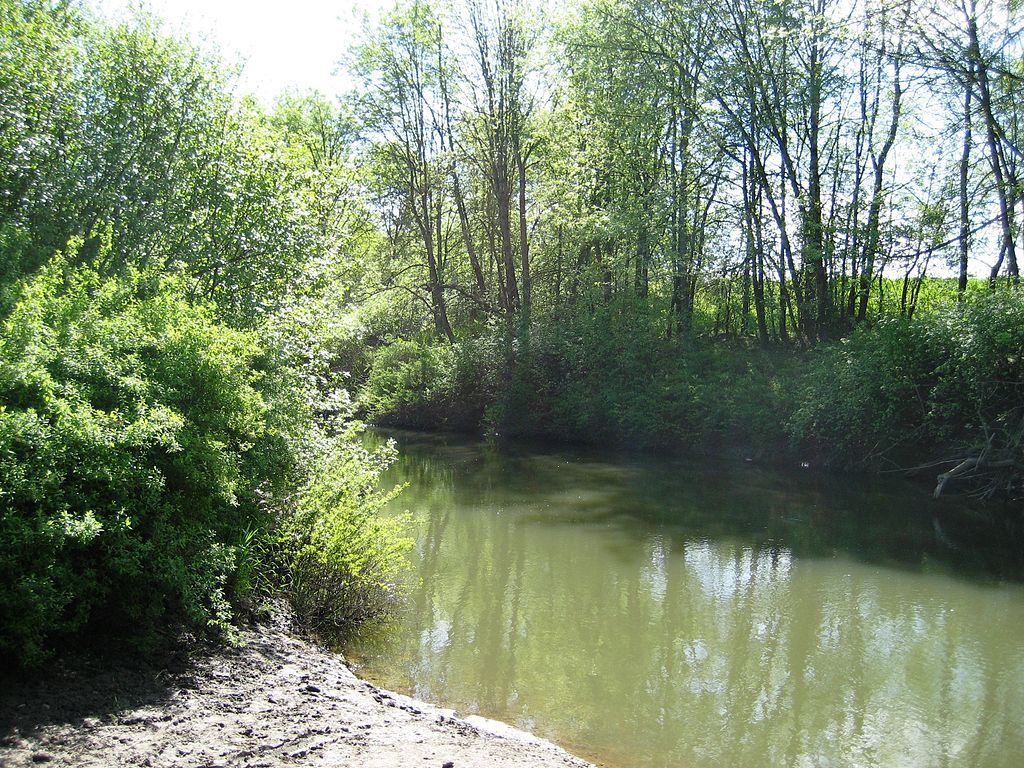 River running through Rood Bridge Park