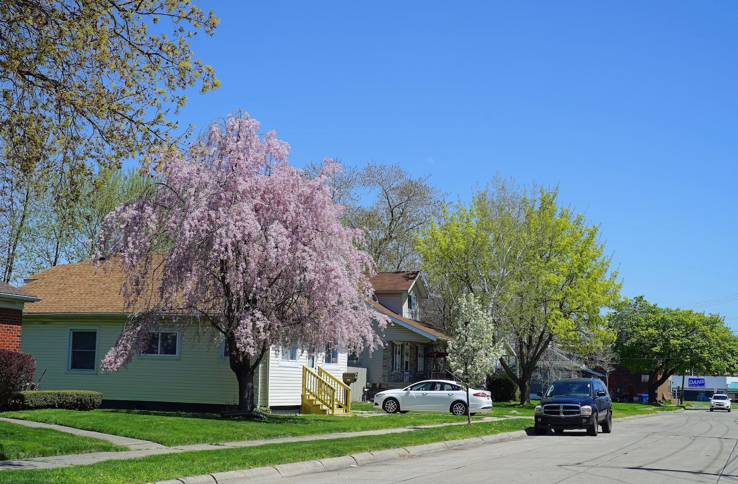 15 Best Things to Do in Roseville, MI Travel Lens