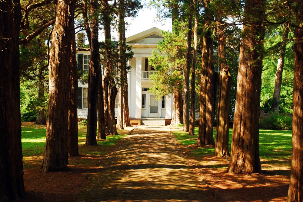 Daytime view of Rowan Oak