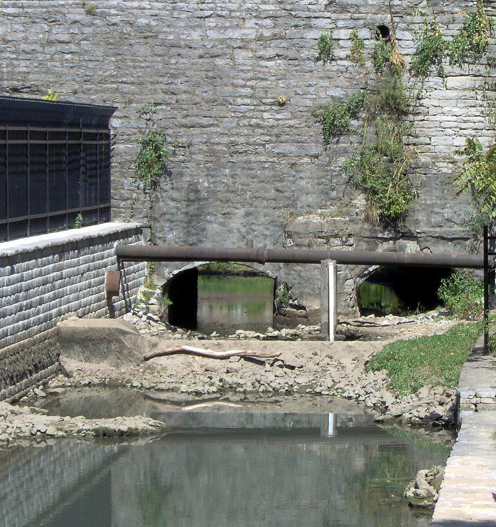 View of the Royal Spring Park