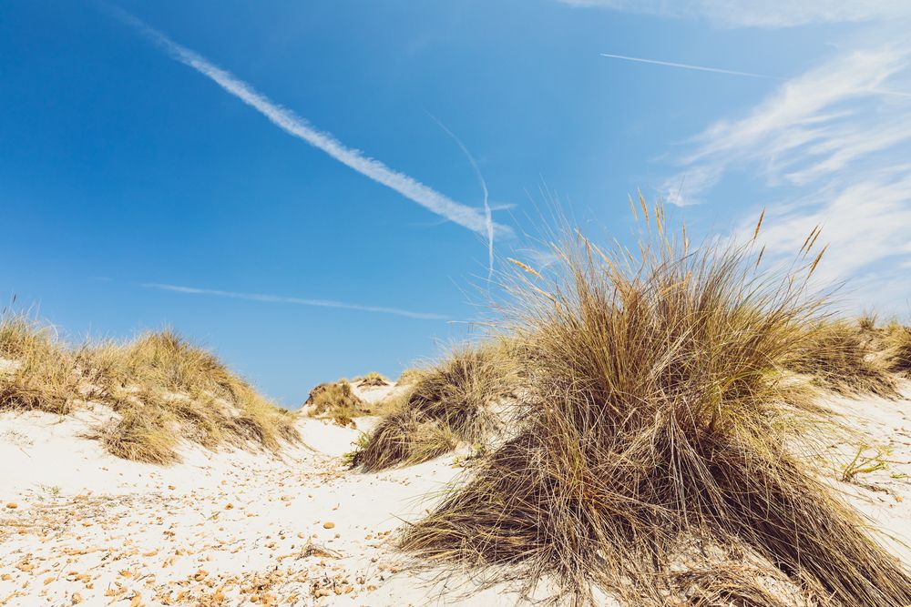 Dunes at S'Espalmador