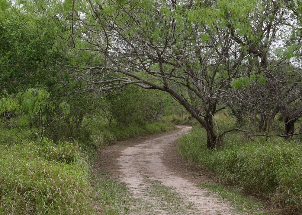 Nature trail at Sabal Palm Sanctuary