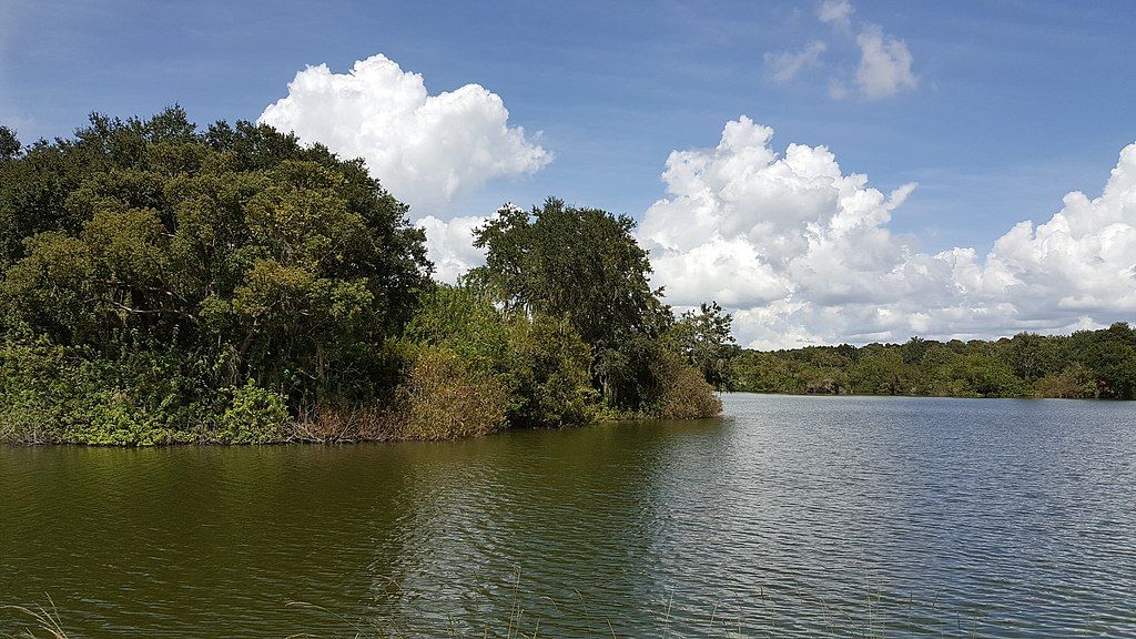 Lake at Saddle Creek Park