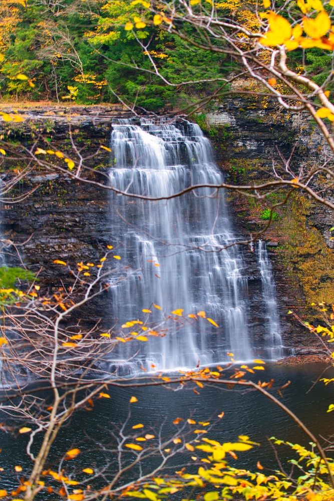 Scenic view of Salmon River Falls