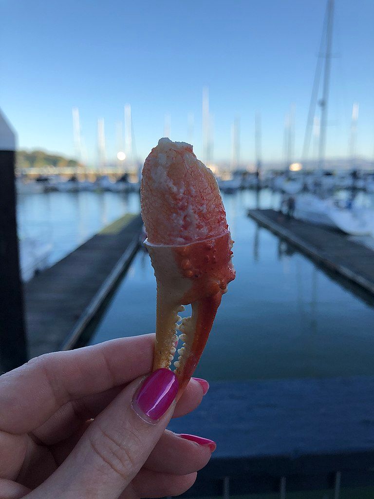 Crab claw at Sam's Anchor Cafe