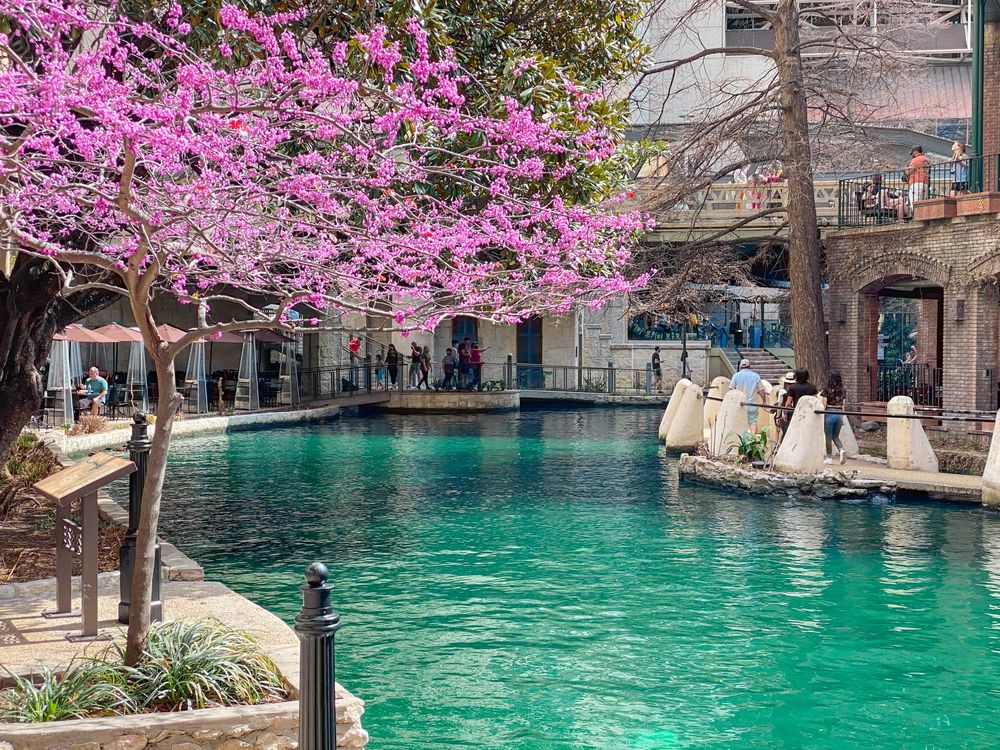 View of the San Antonio River Walk