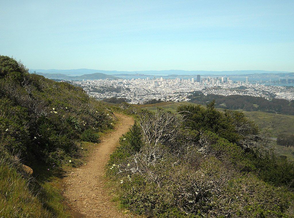 A trail at San Bruno Mountain Park