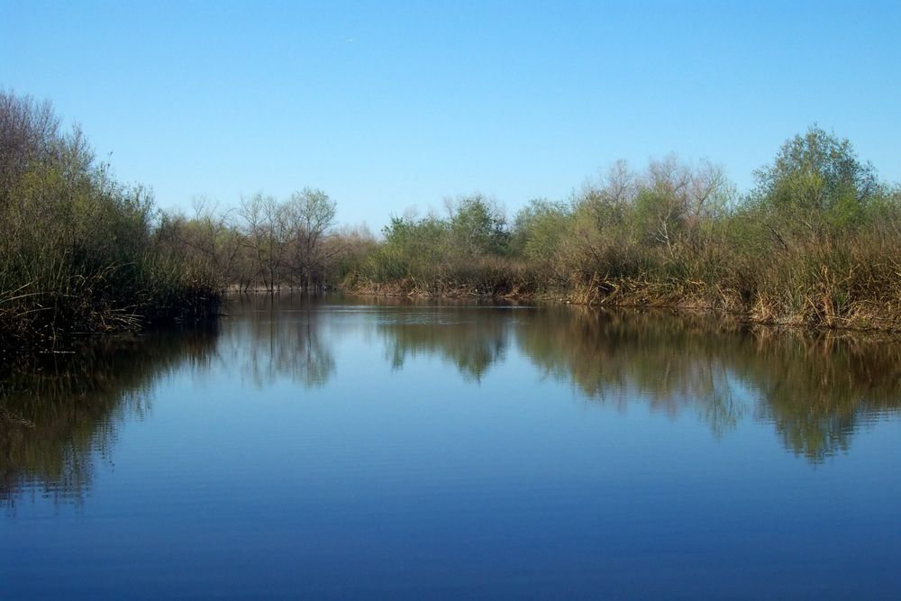 Waters of San Joaquin Marsh and wetlands Sanctuary