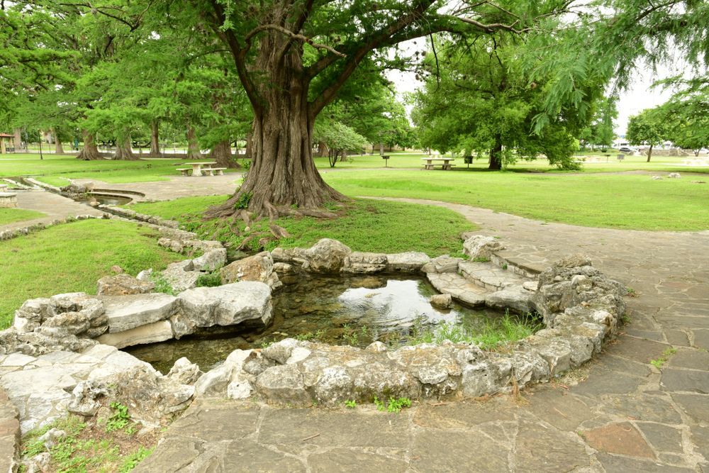 San Pedro Springs Park