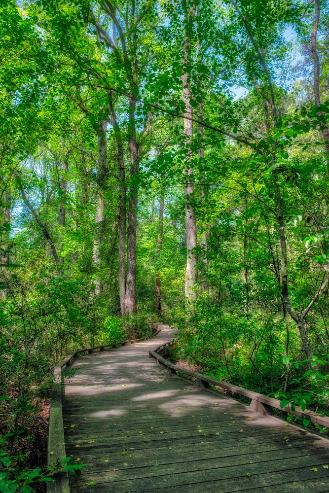 Sandhills Horticultural Gardens