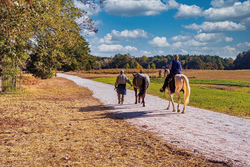 Visitors enjoying the horseback ride at Sandy Pines Preserve