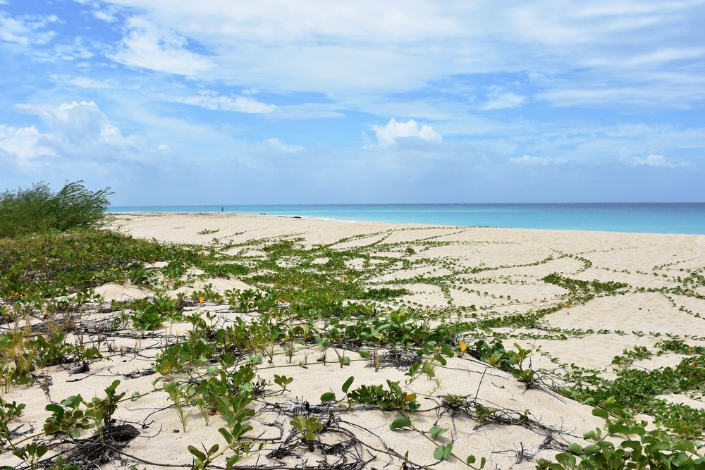 Sandy Point Refuge