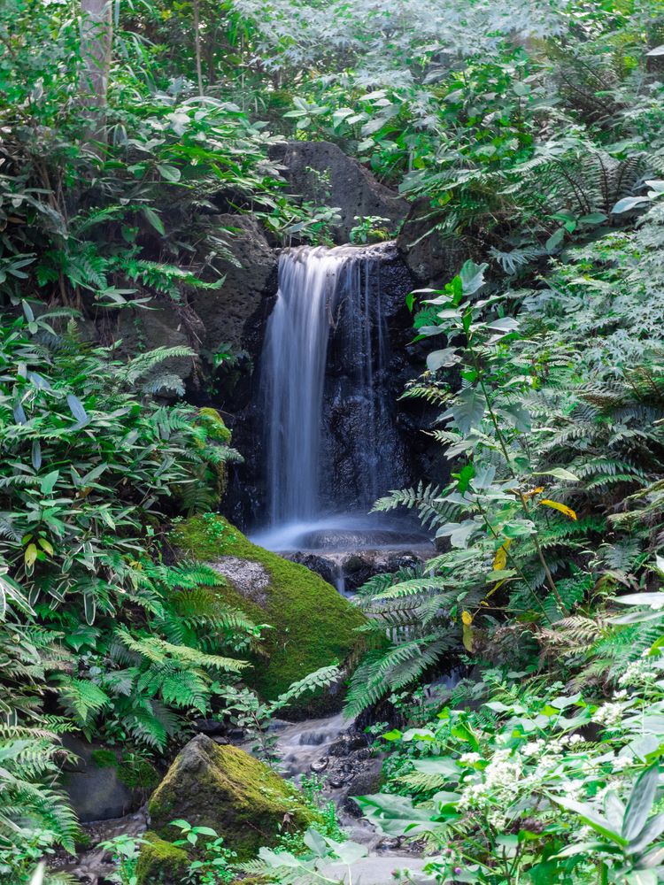 Waterfall at Sankeien Garden