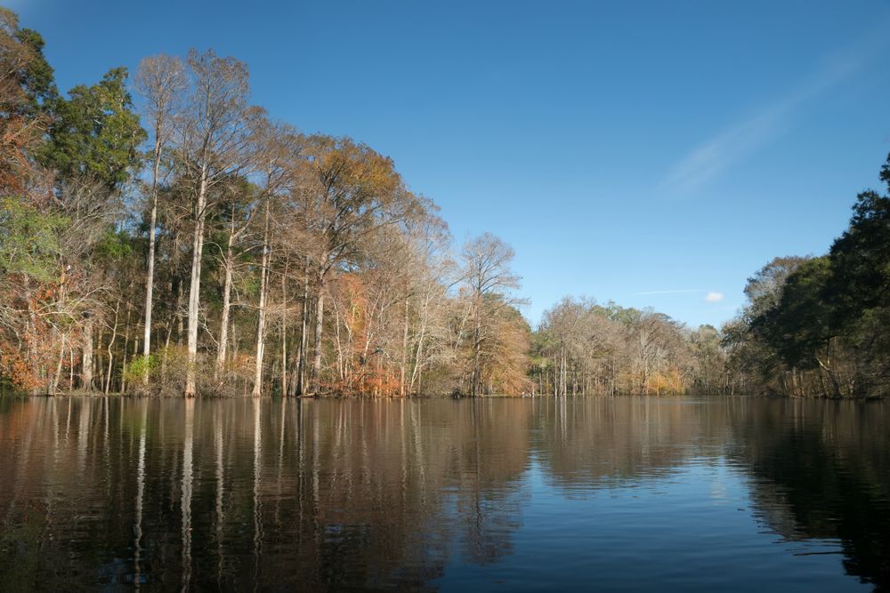 The waters of Santa Fe River