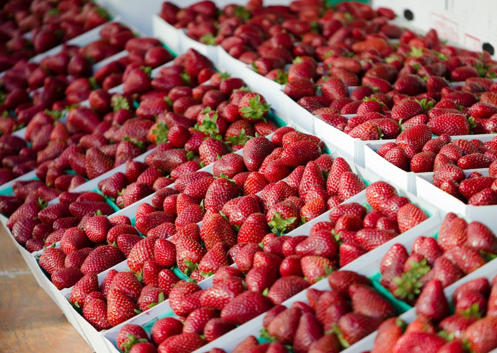 Strawberries at Santa Monica Farmers Market