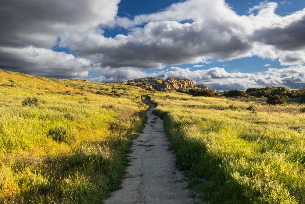 Scenic View of a meadow trail in Santa Susana Pass Historic State Park.