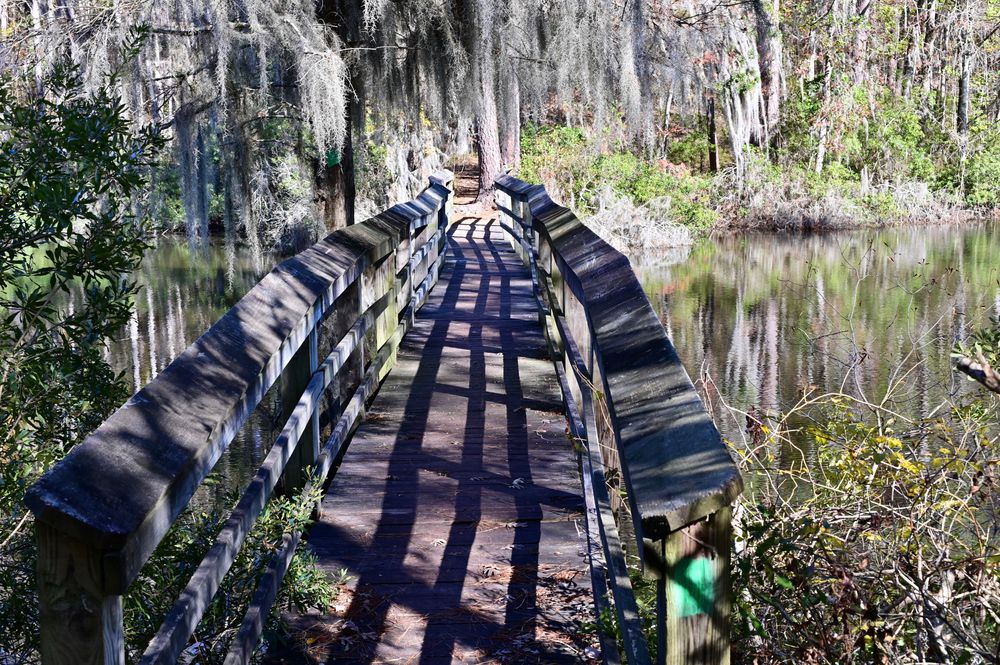A narrow wooden bridge in Santee State Park