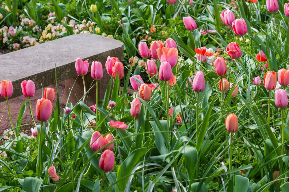 , Relax, and Get Inspired at Sarah P. Duke Gardens in Downtown Durham, NC