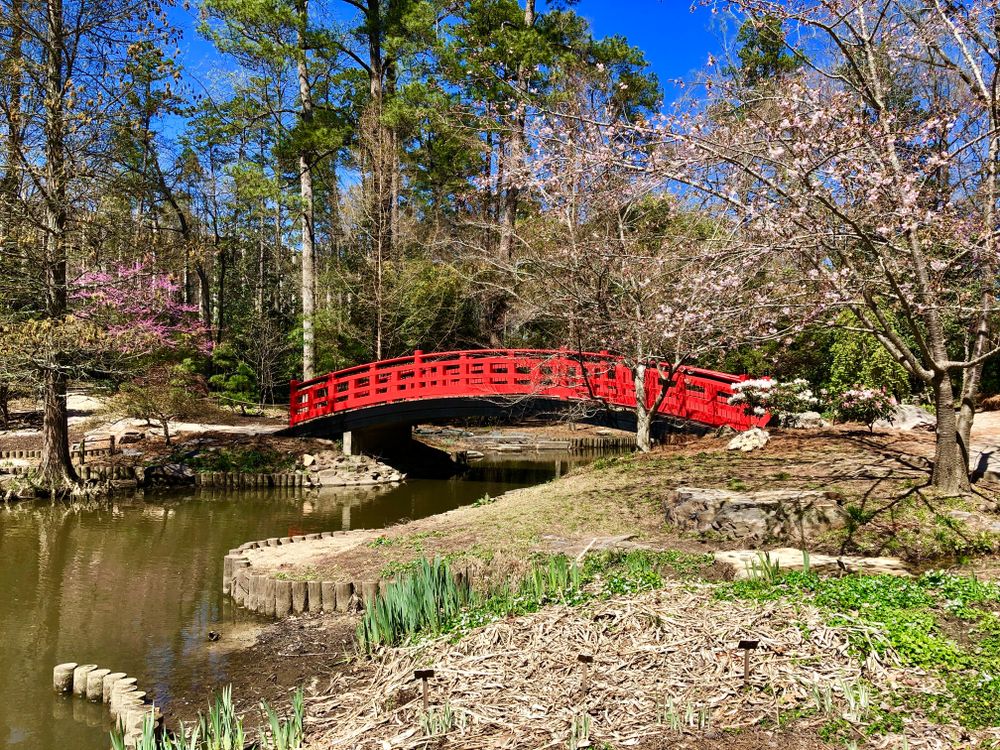 An arched bridge at Sarah P. Duke Gardens