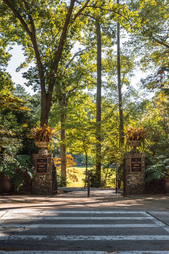Scenic view of Sarah P. Duke Gardens