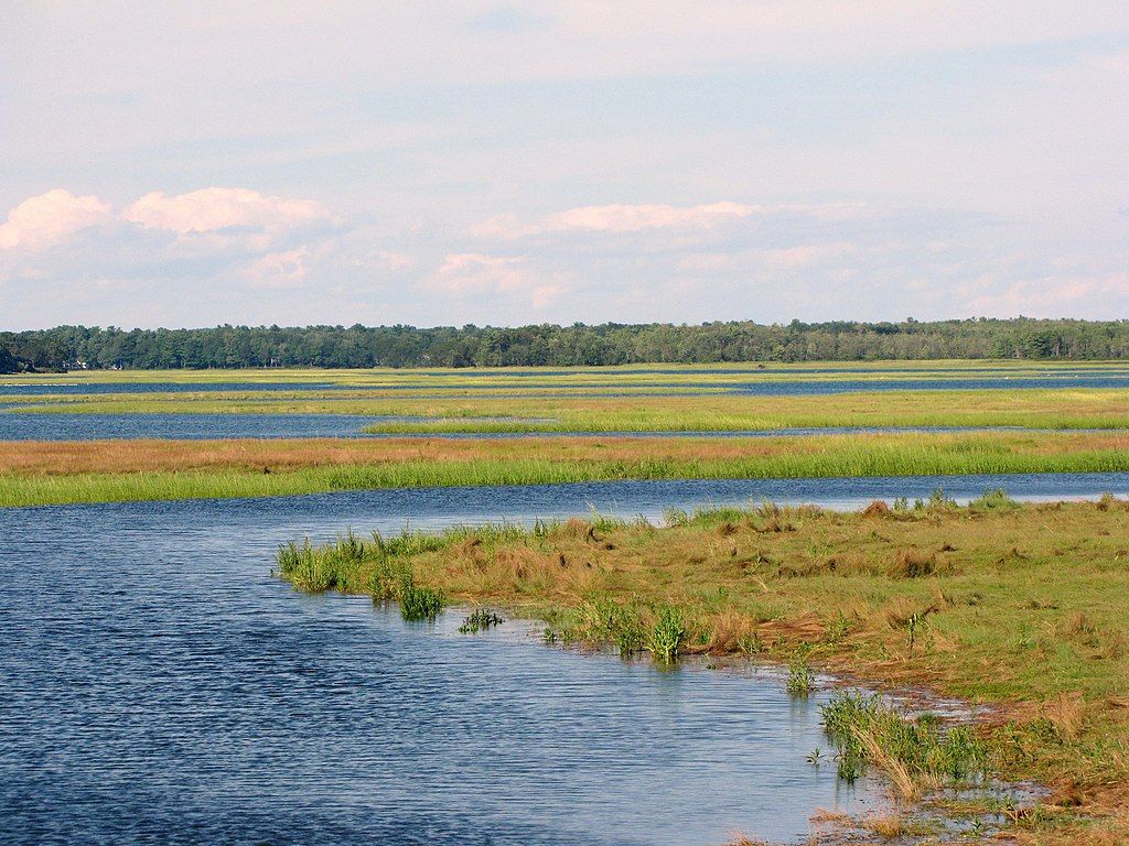 The waters of Scarborough Marsh Audubon Center