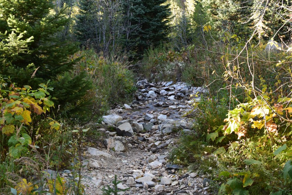 View of the Jenny Lake Scenic Drive