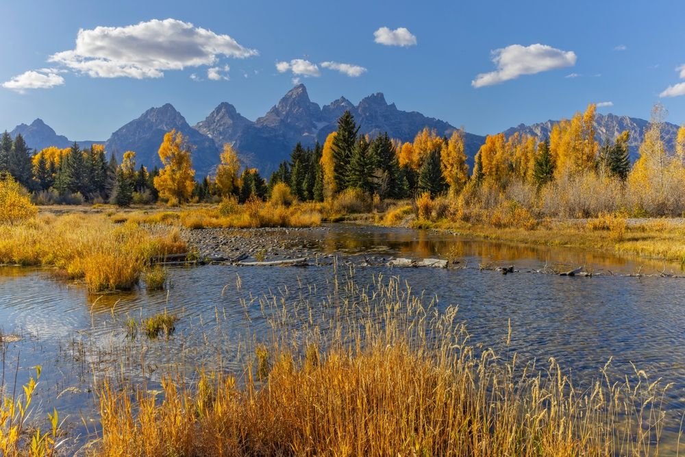 View of the Schwabacher Landing