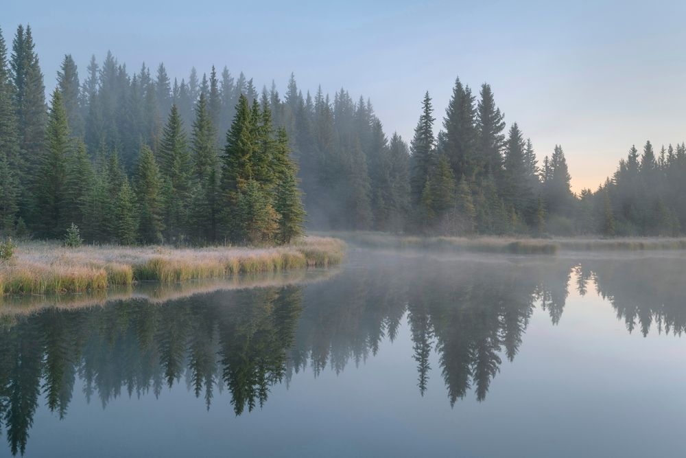 Foggy weather at Schwabacher Landing