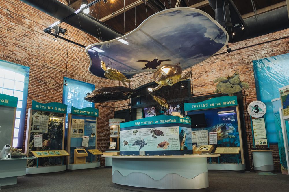 Interior of Sea Turtle Center