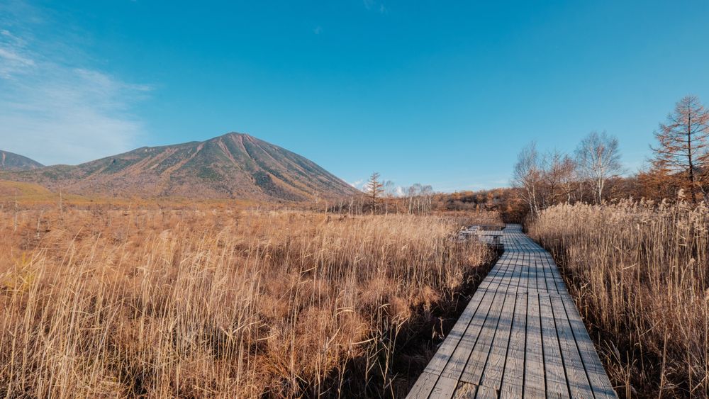 Senjogahara Marshland