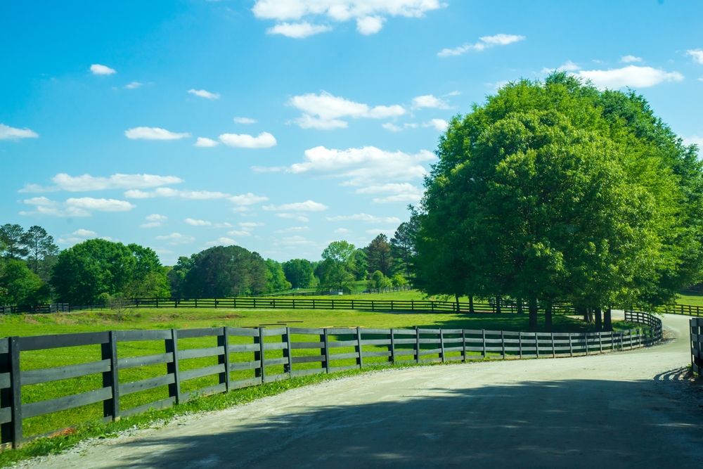 Scenic view of the Serenbe Trail Riding