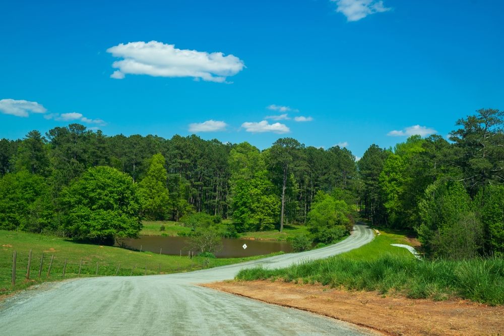 Beautiful view of the Serenbe Trail Riding
