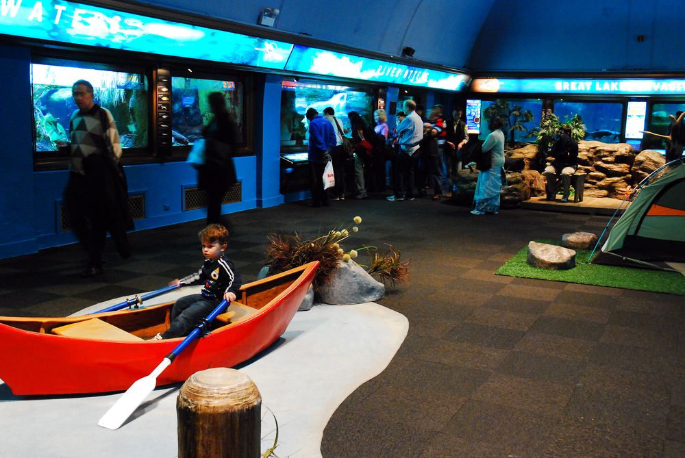 Interior view of Shedd Aquarium