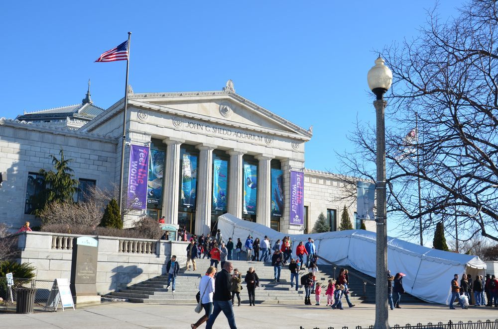 Shedd Aquarium