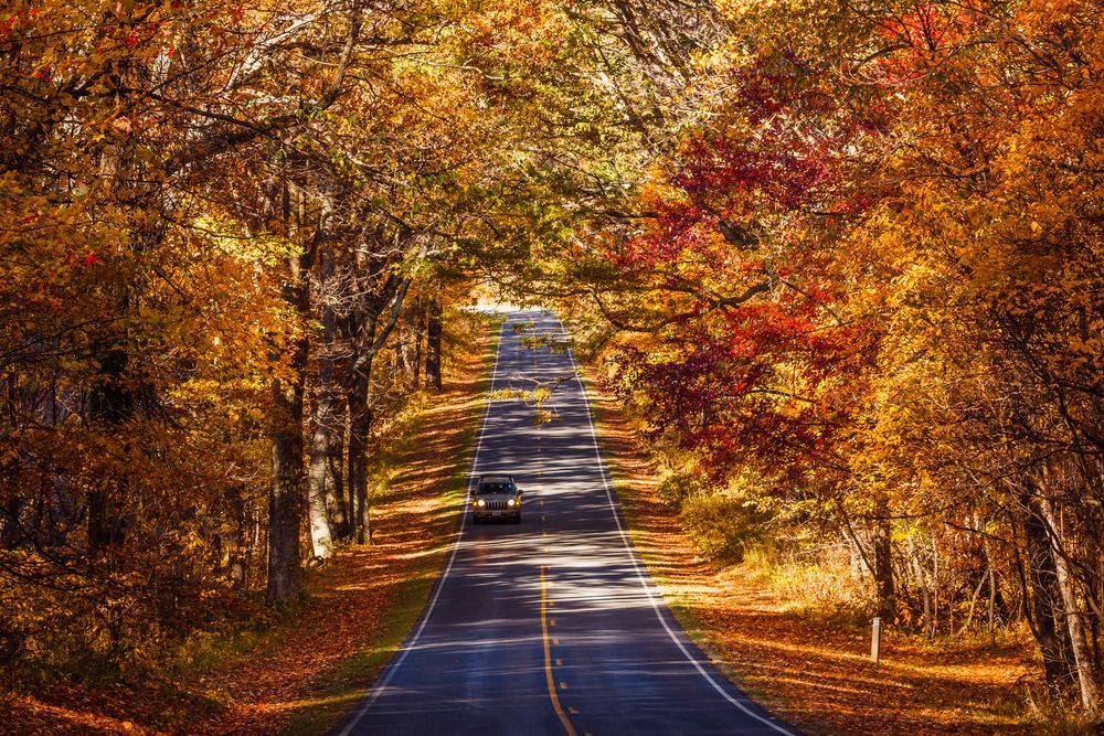 Shenandoah National Park in Virginia