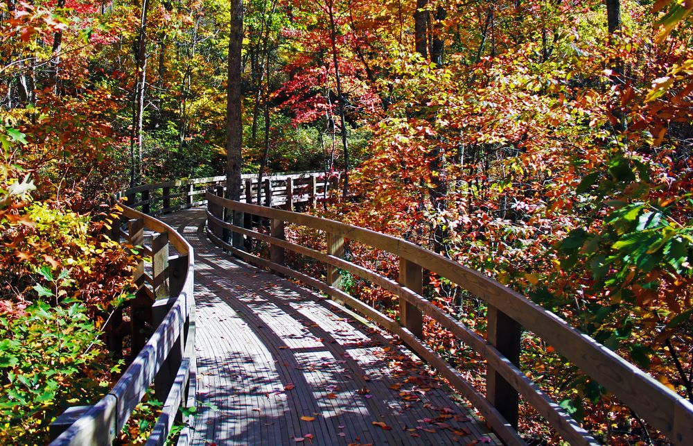 Gorgeous scenic nature trail at Shenandoah Valley
