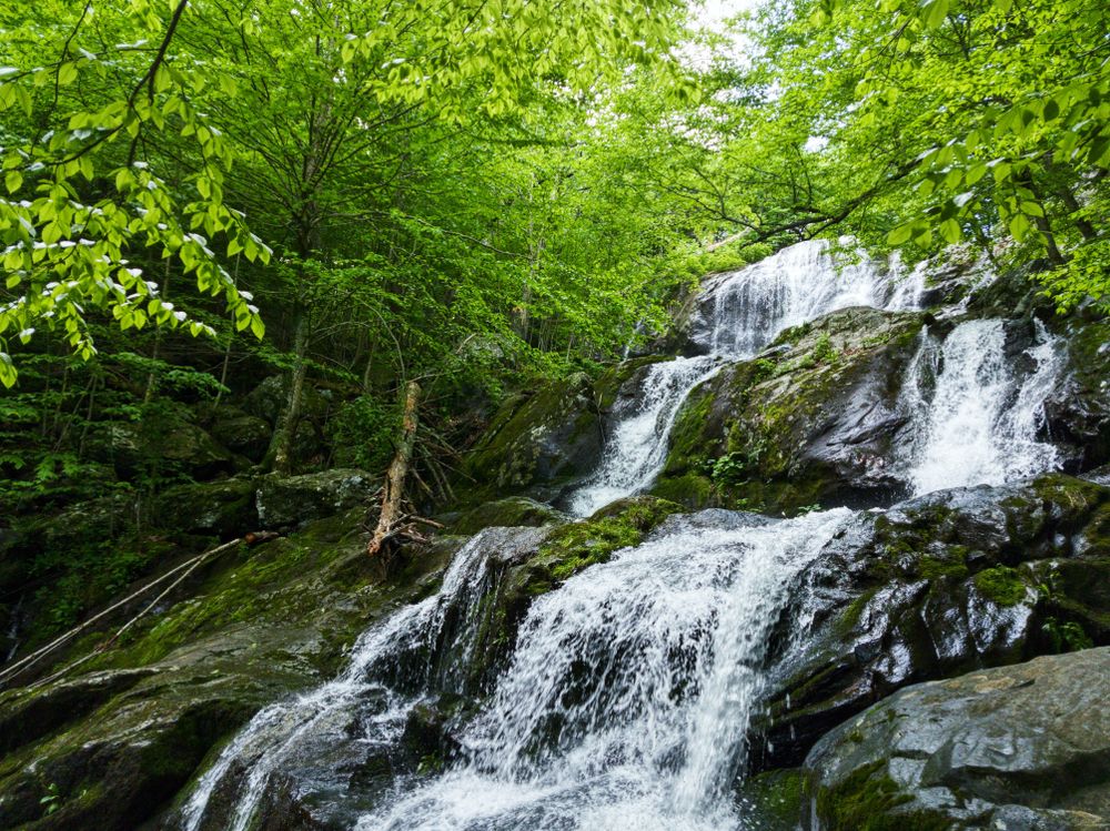 Waterfall in Shenandoah Valley