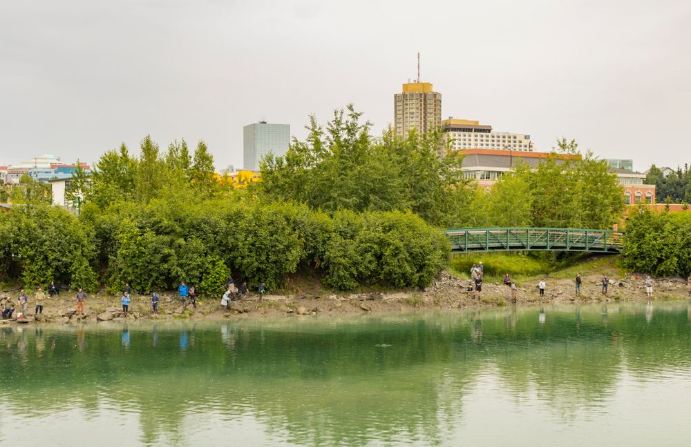 People fishing in Ship Creek in Alaska