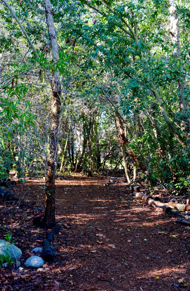 Nature trail along the Shipley Nature Center