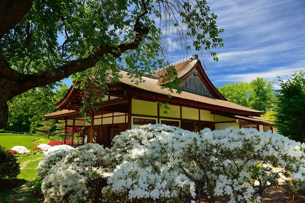 Shofuso Japanese House and Garden