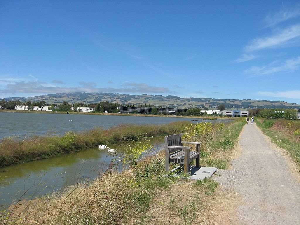 View of Shollenberger Park