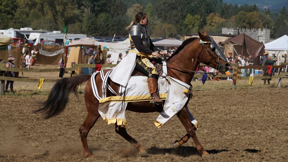 Knights at Shrewsbury Renaissance Faire